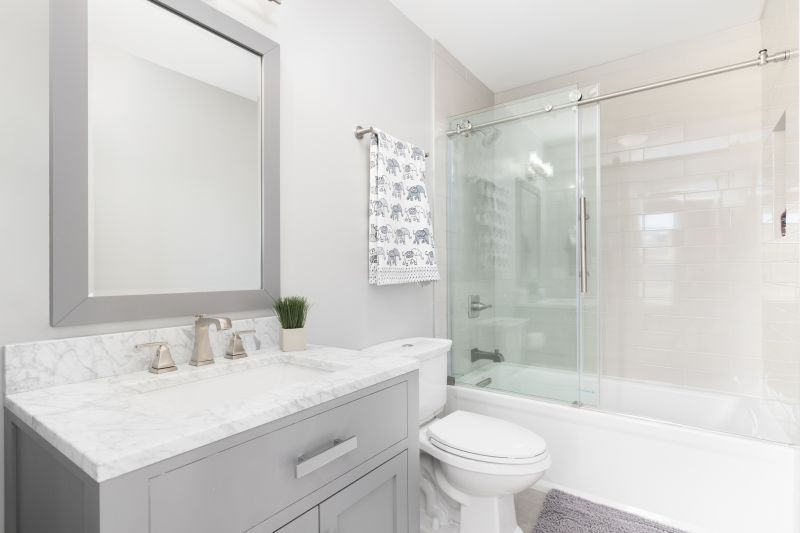 Top Tub To Shower Conversion Companies in Sarasota, FL