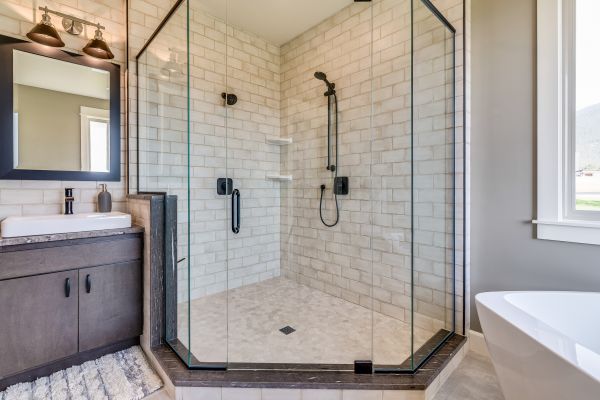 Bathroom Modification in Bradenton